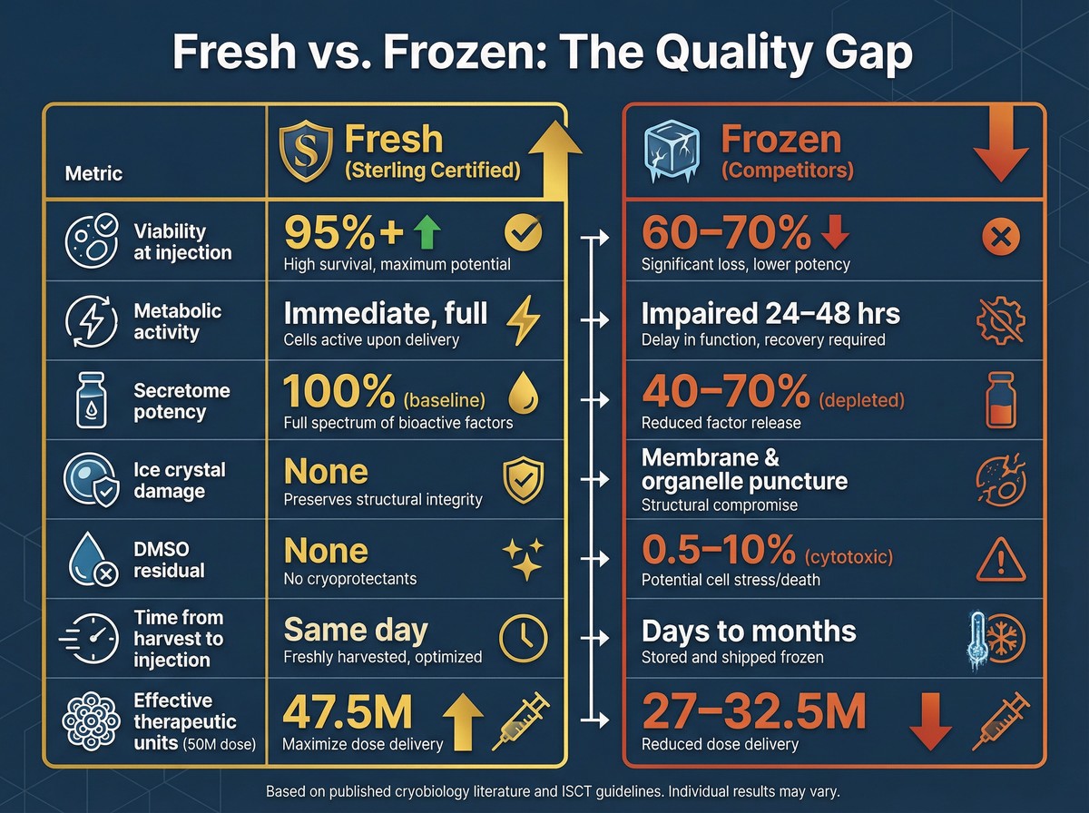 Infographic comparing fresh vs frozen stem cells across 7 quality metrics. Fresh cells: 95%+ viability, immediate metabolic activity, 47.5M effective therapeutic units from 50M dose. Frozen cells: 60-70% viability, 24-48 hour recovery needed, 27-32.5M effective therapeutic units from 50M dose.